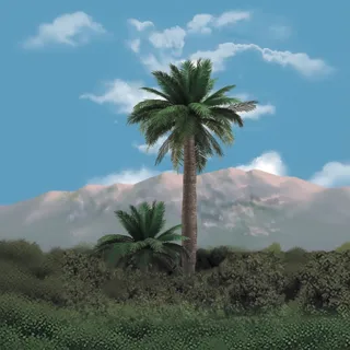 Palma chilena
