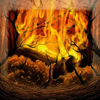 Incendio forestal superficial