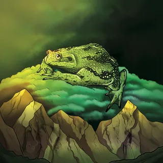 Rana chilena
