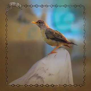 Zorzal