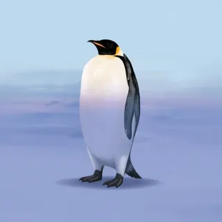 Pingüino emperador