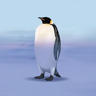Pingüino emperador