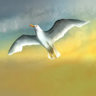Alas de Gaviota
