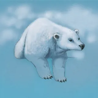 Oso polar