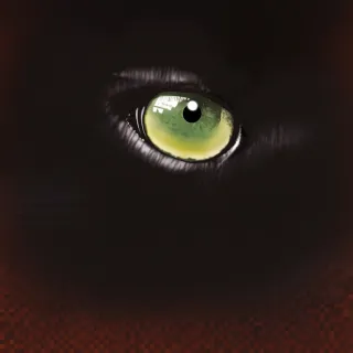 Ojo de Pantera