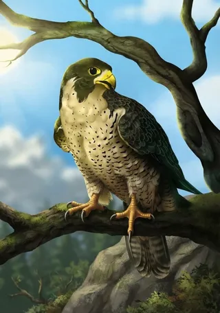 Halcón peregrino