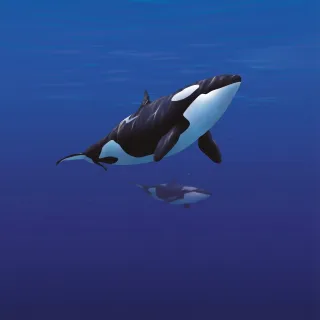 Orca Transeúnte