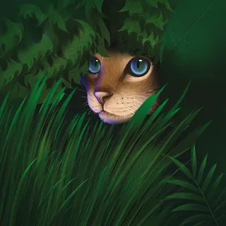 Resguardo