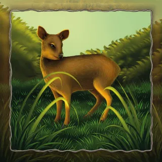 Pudú del norte