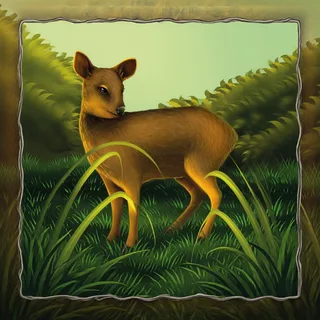 Pudú del norte