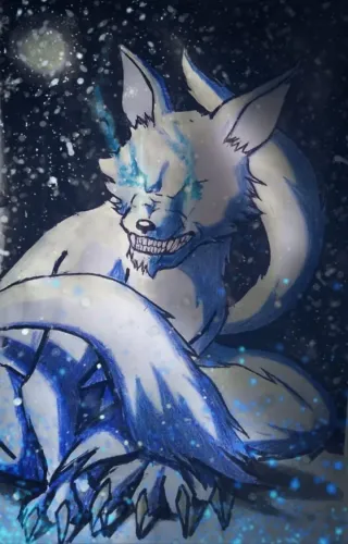 Zorro Boreal